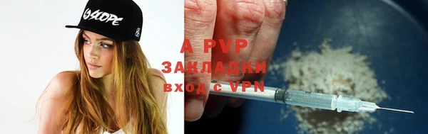 ешки Белокуриха